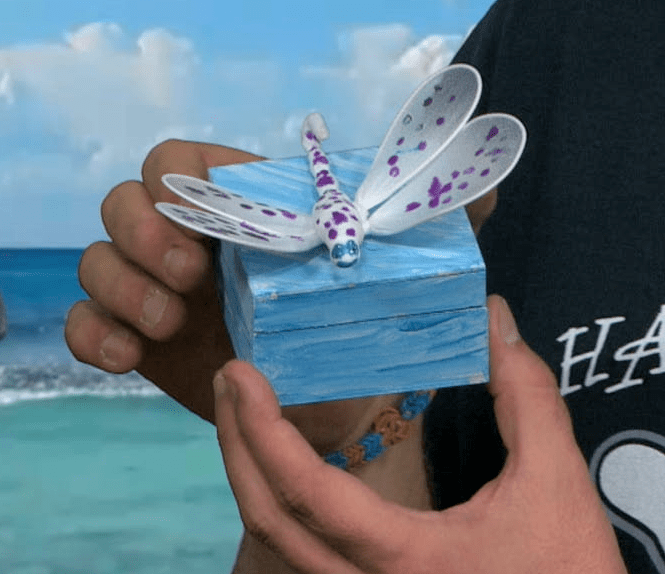 A dragonfly box made by one of the kids
